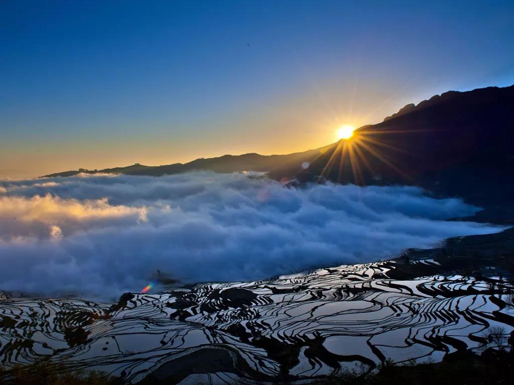 元阳梯田.jpg