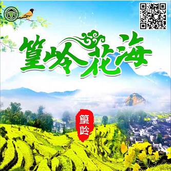 婺源篁岭梯田赏花大理坑2日纯玩游